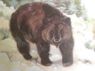 атласский медведь